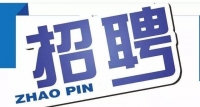 岱岳區(qū)政務(wù)服務(wù)中心招人啦！大專以上學(xué)歷，即日起報名
